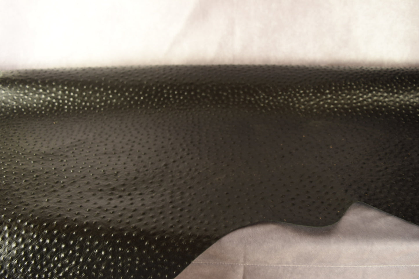 Italian Ostrich Embossed Cow Side