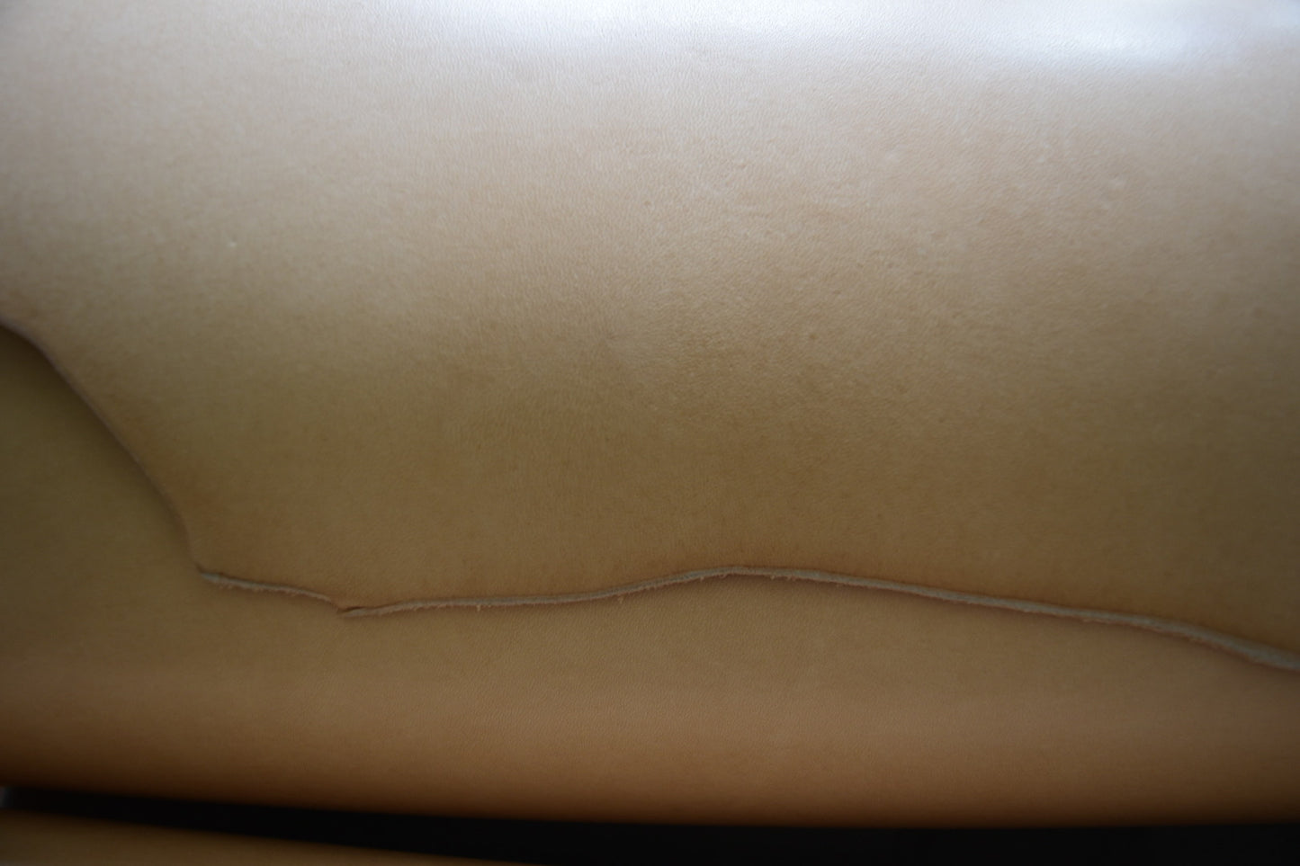 Tuscan Veg Tan Crust Double Shoulders - High Grade