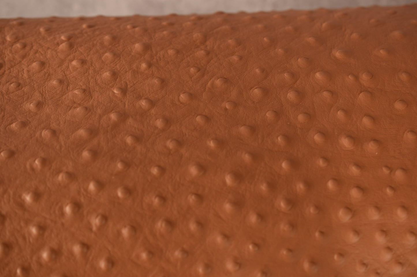 Italian Ostrich Embossed Cow Side