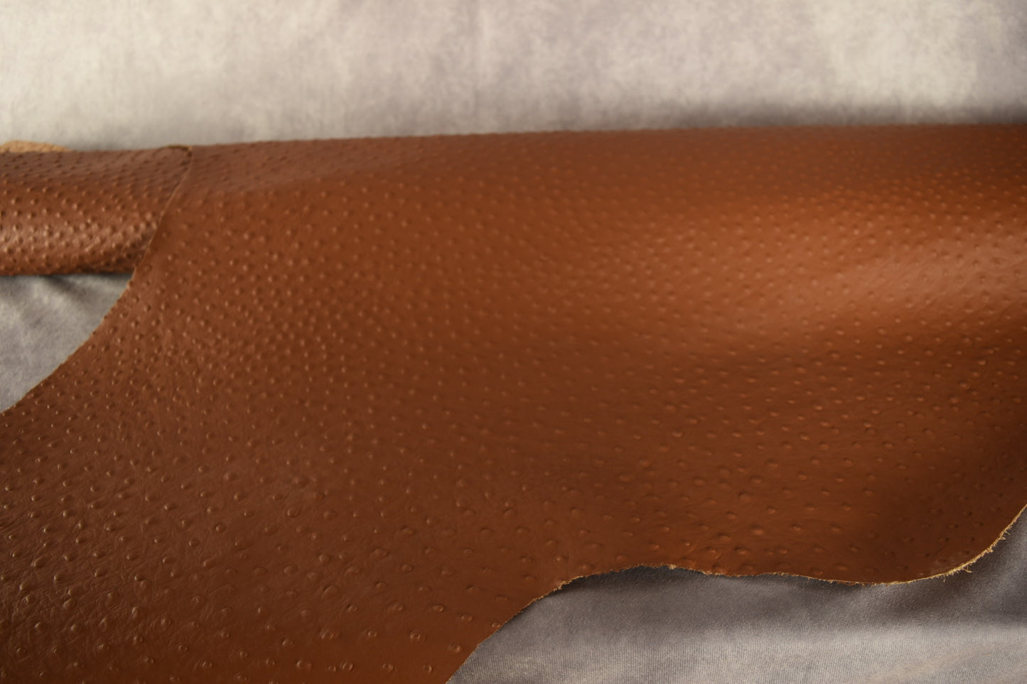 Italian Ostrich Embossed Cow Side