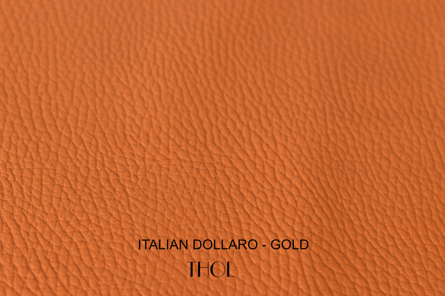 Italian Dollaro