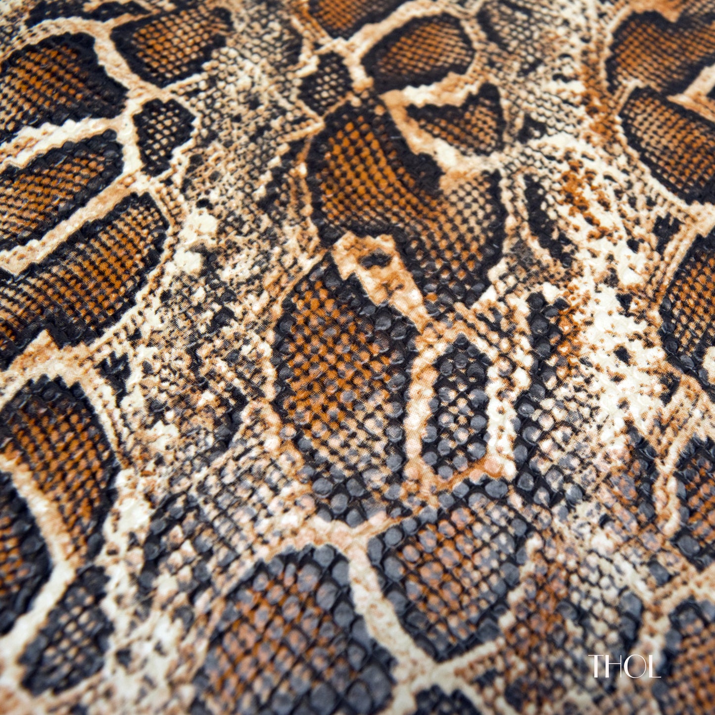 Python on Goat