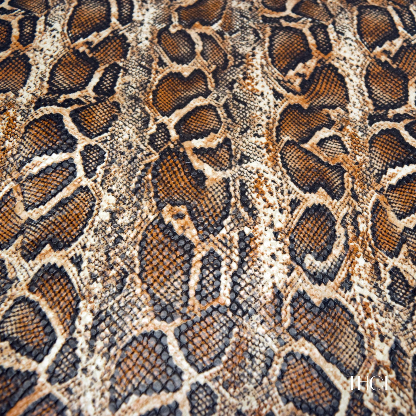 Python on Goat