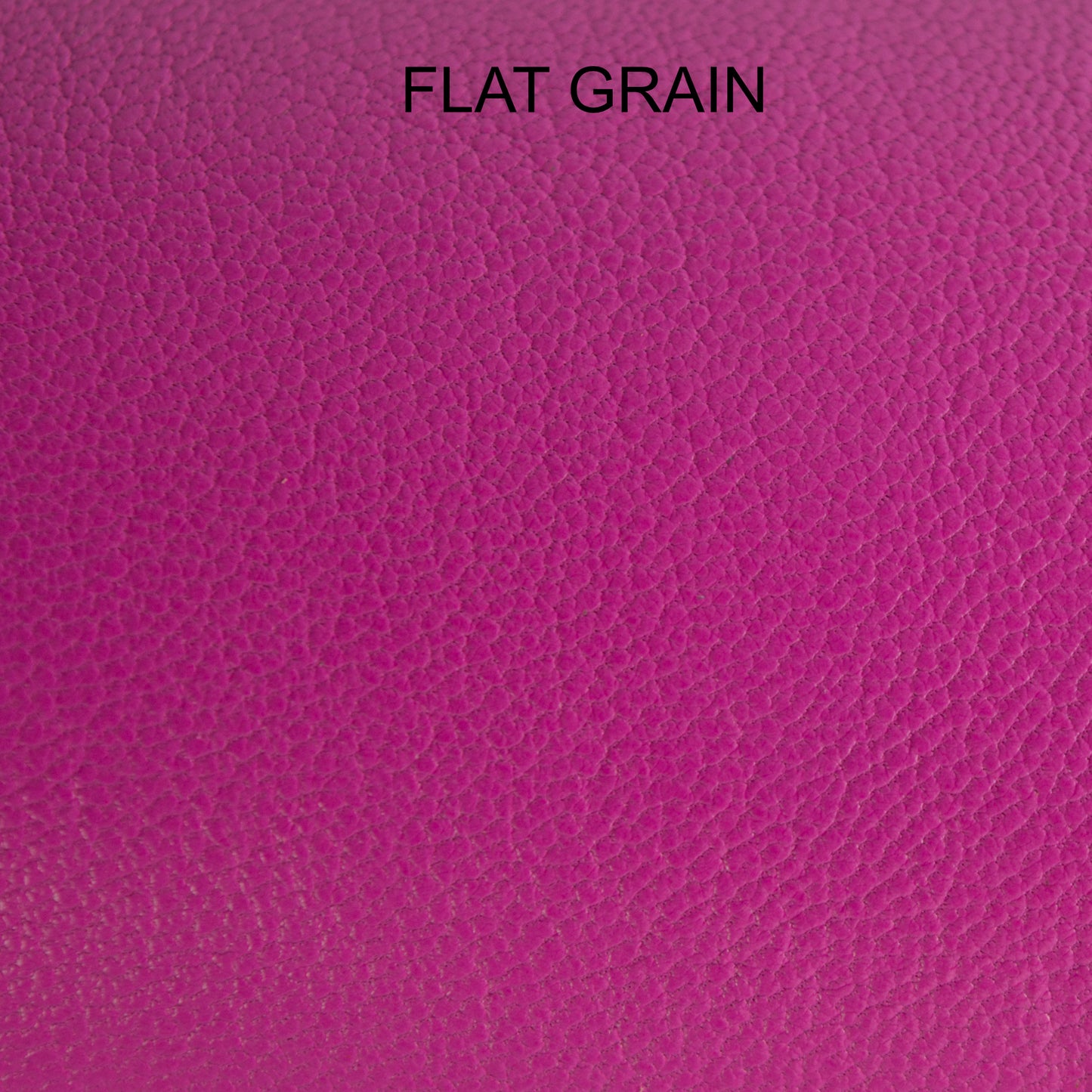 Chèvre - Fuscia Dream