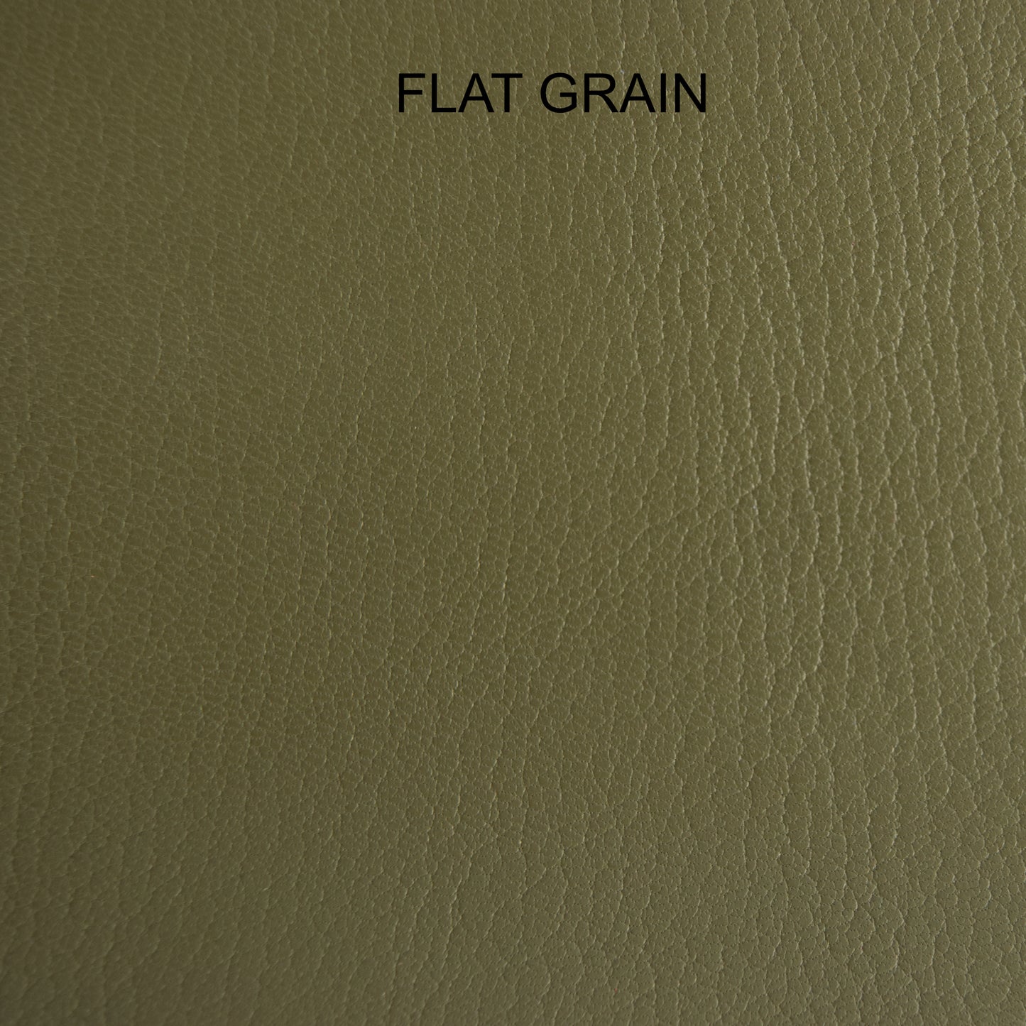 Chèvre - Olive Green