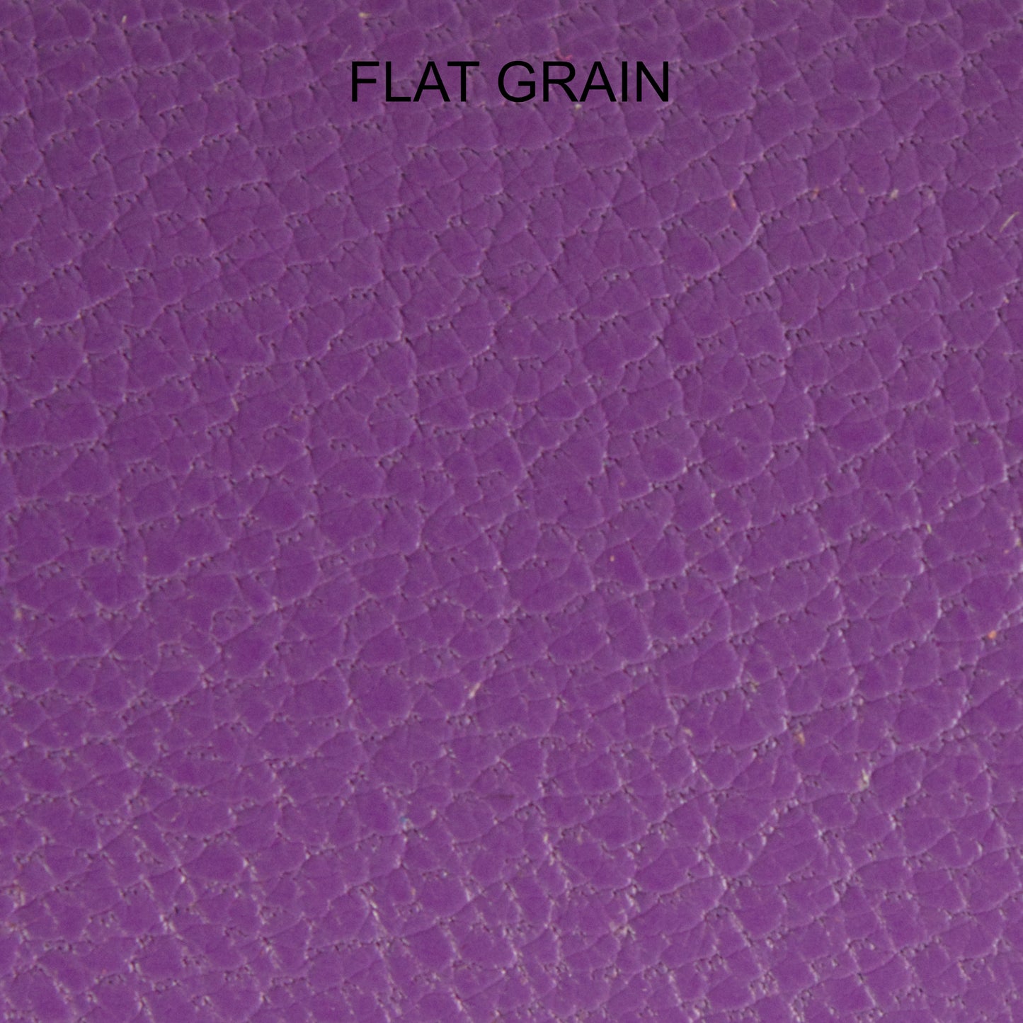 Chèvre - Purple Joy