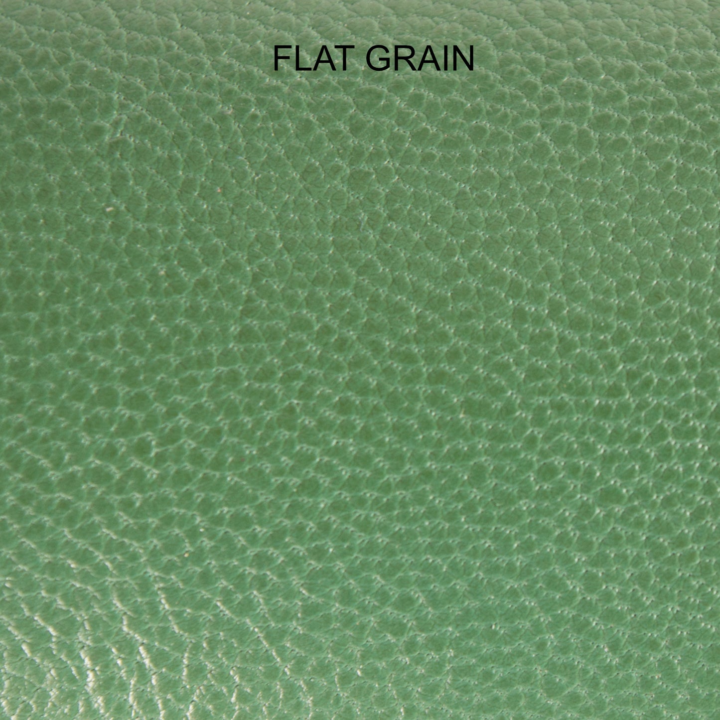 Chèvre - Racing Green