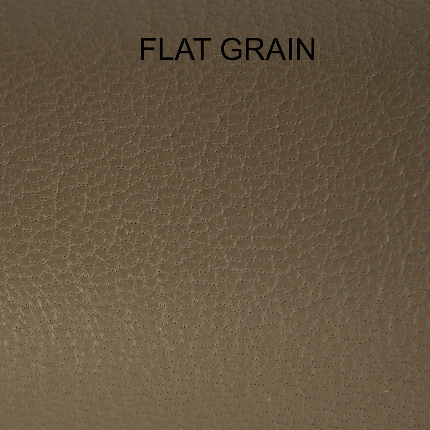 Chèvre - Slate Grey