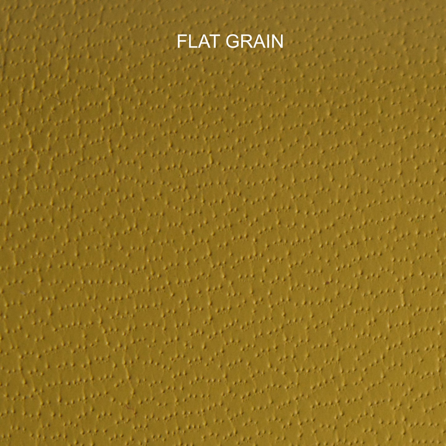 Chèvre - Hazel Yellow