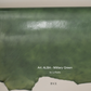Art. ALBA  - La Ruota’s #1 Best Seller Italian Veg Tan Cow Shoulder