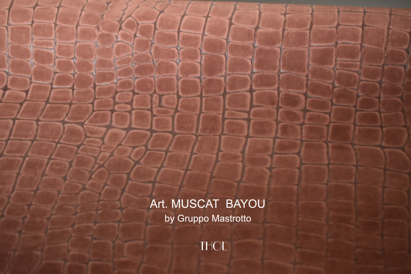 Art. MUSCAT by Gruppo Mastrotto