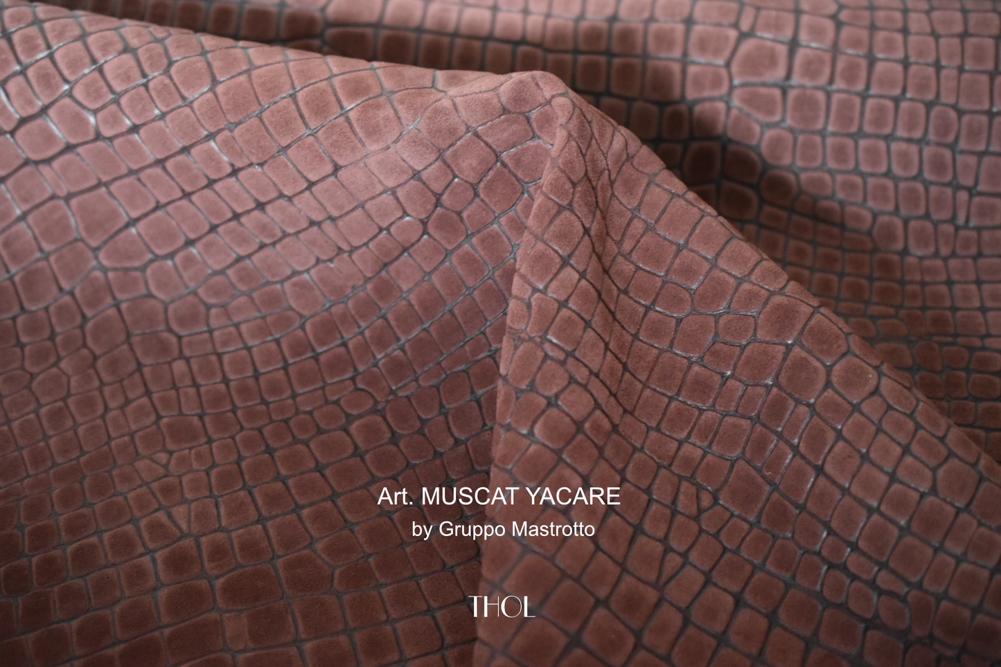 Art. MUSCAT by Gruppo Mastrotto