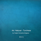 Art. Natural by Virgilio Conceria Artigiana (LWG Silver Rated)