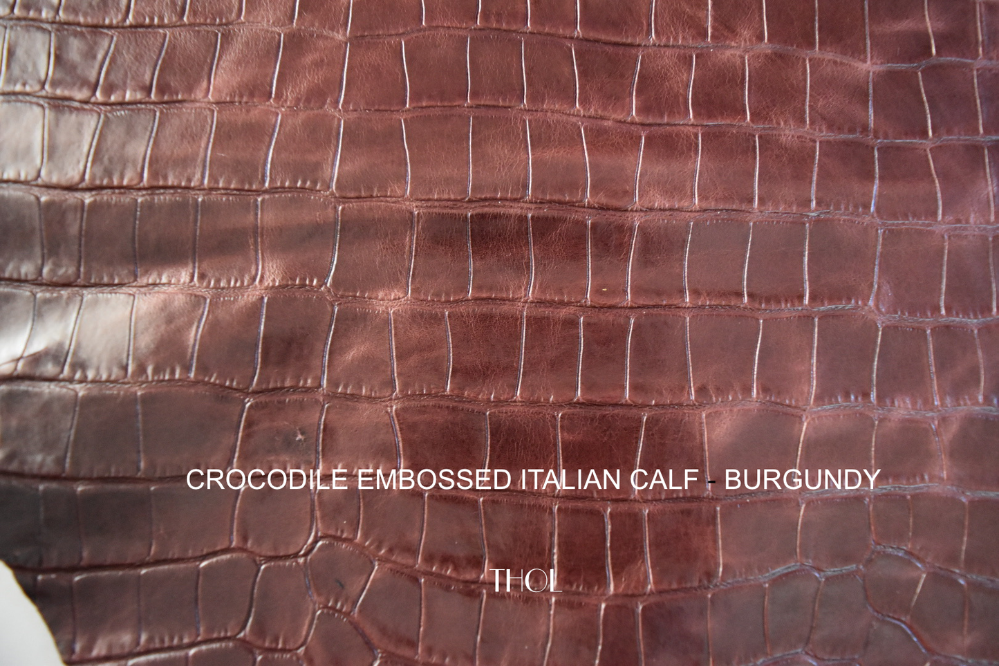 Art. Assuan Crocodile-embossed Italian Calf by Conceria INCAS
