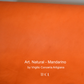 Art. Natural by Virgilio Conceria Artigiana (LWG Silver Rated)