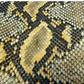 Python on Goat