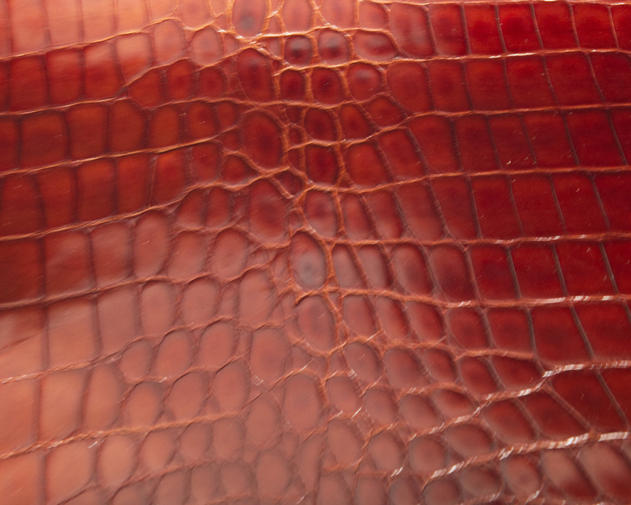 Italian Glazed Crocodile-Embossed Cow Side
