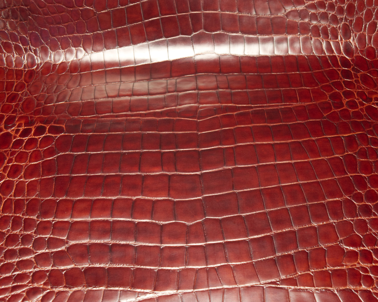 Italian Glazed Crocodile-Embossed Cow Side