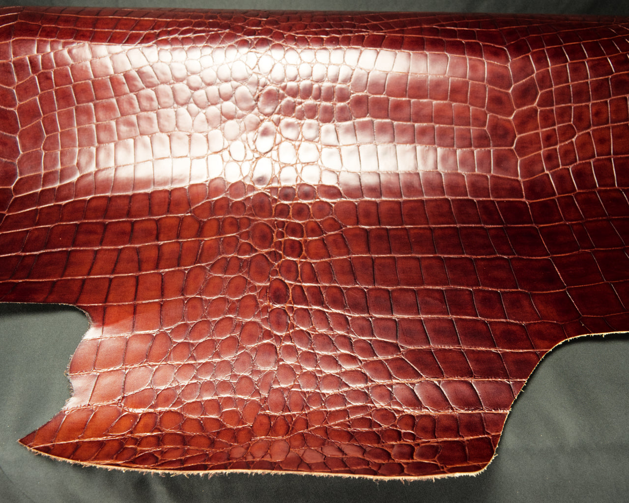 Italian Glazed Crocodile-Embossed Cow Side